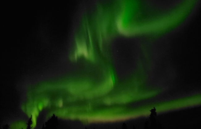 Avens Alaska - Foto 40