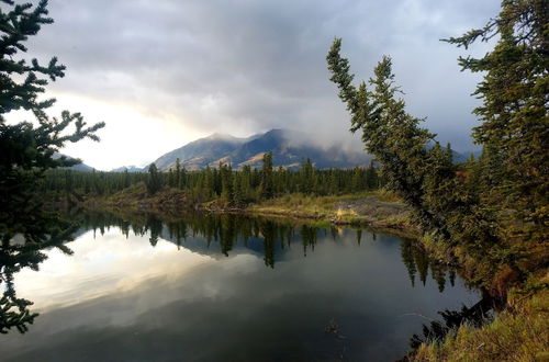 Foto 24 - Wrangell Mountains Wilderness Lodge