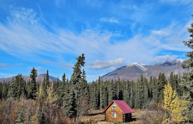 Avens Alaska - Foto 48