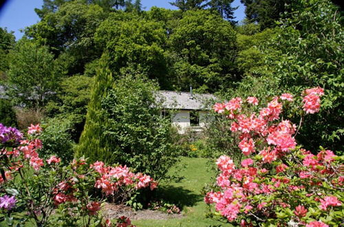 Foto 14 - Cwm Irfon Lodge Cottages