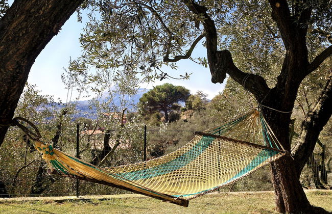 La Villa dell'Olio - Foto 21