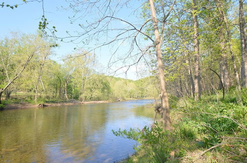 Foto 39 - Chesnutt Cabin on the Cacapon River