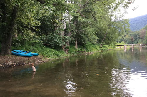 Foto 42 - Chesnutt Cabin on the Cacapon River