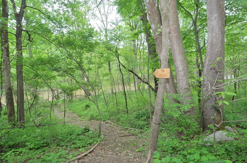 Foto 30 - Chesnutt Cabin on the Cacapon River