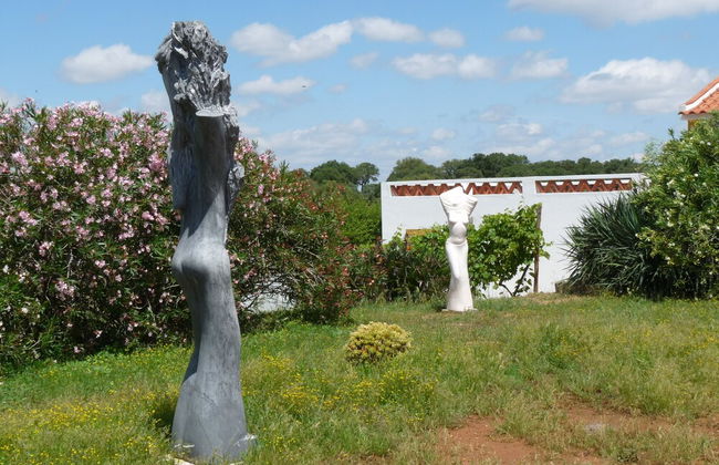MirArte - Foto 51