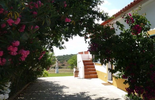 MirArte - Foto 60