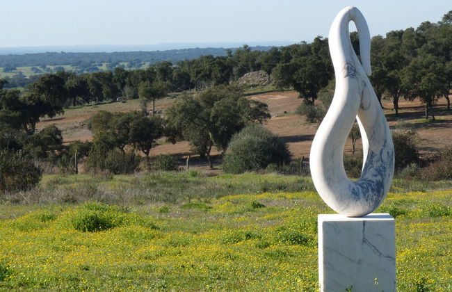 MirArte - Foto 52