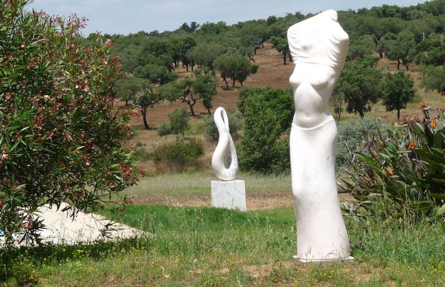 MirArte - Foto 53