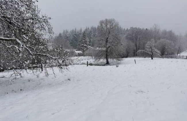 Home in Vielsalm With Sauna - Foto 34