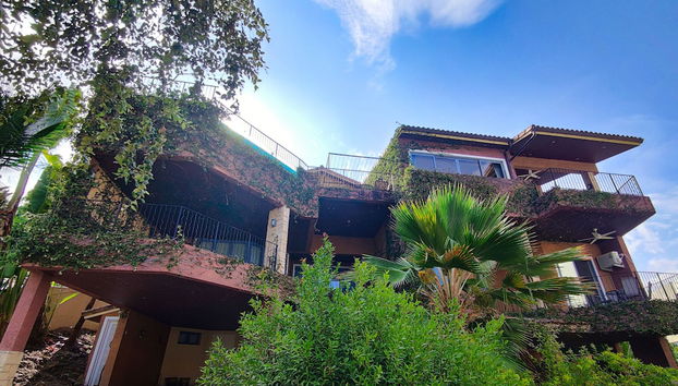 Entrada (vista interior)