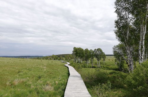 Photo 31 - Picture-perfect Holiday Home in Sourbrodt With Garden, BBQ