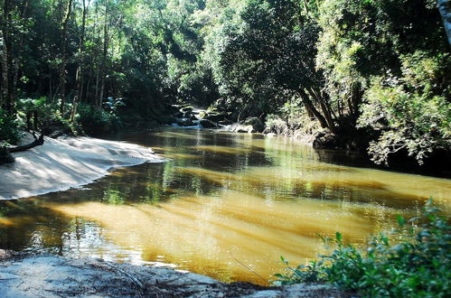 Photo 61 - Fazenda Rio Grande