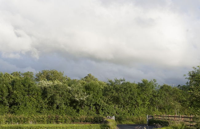 Inviting 4-bed House in Strokestown - Foto 10
