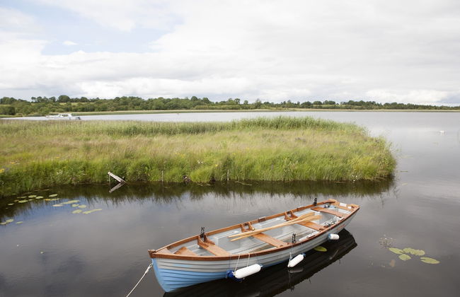 Inviting 4-bed House in Strokestown - Foto 20