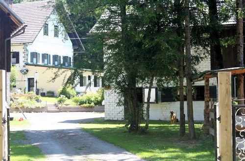 Photo 20 - Holiday Home in Hermagor in Carinthia With Pool