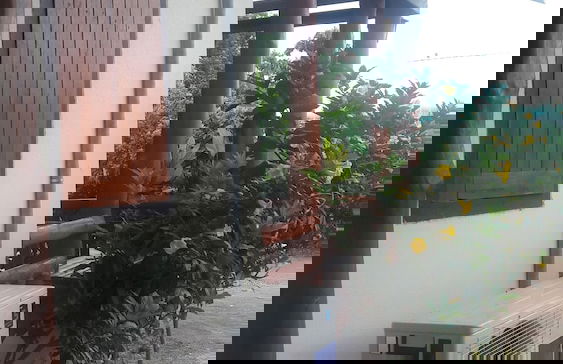 Ramidahost2 - Foto 19