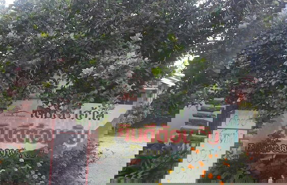 Ramidahost2 - Foto 23