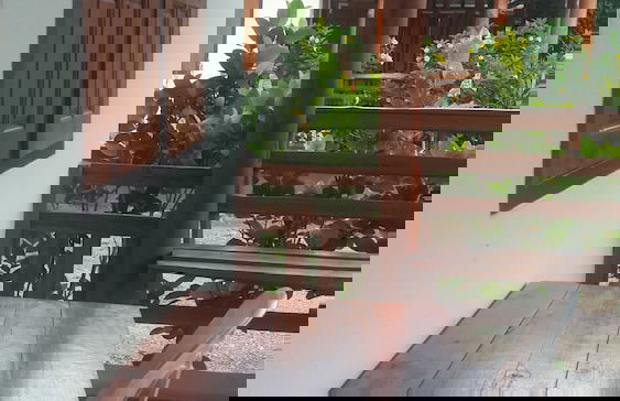 Ramidahost2 - Foto 7