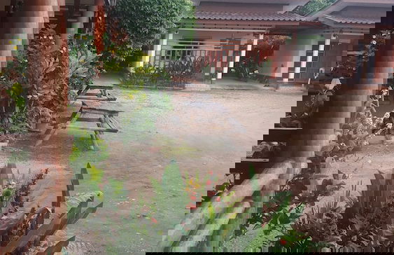 Ramidahost2 - Foto 18
