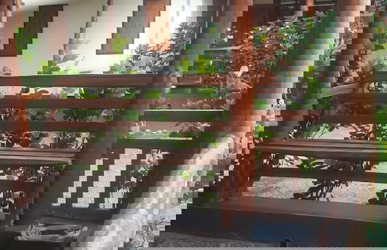 Ramidahost2 - Foto 9