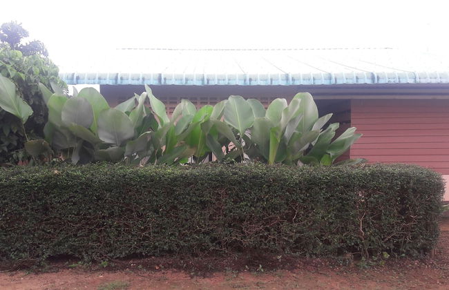 Ramidahost2 - Foto 20