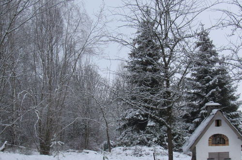 Photo 28 - Traditional Chalet in Tenneville With Large Garden