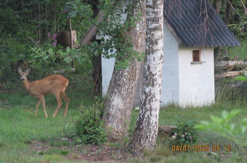 Photo 19 - Traditional Chalet in Tenneville With Large Garden