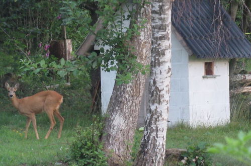 Photo 31 - Traditional Chalet in Tenneville With Large Garden