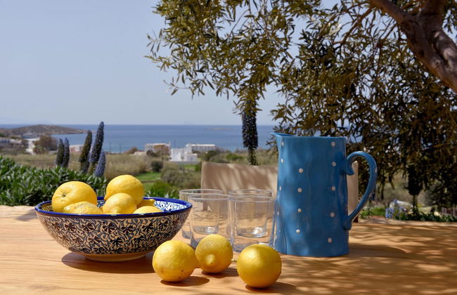 Good Life Greece Eco Villas - Foto 71