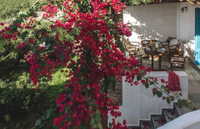 Andros Maisonettes - Foto 32
