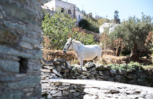 Andros Maisonettes - Foto 20