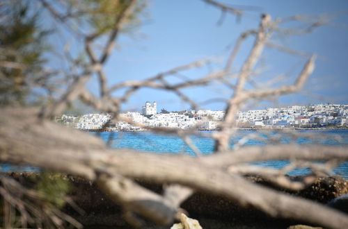 Photo 20 - Koukounari Cottage Paros, Apartment With sea View