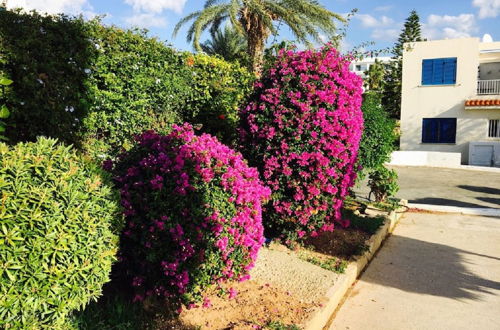 Photo 44 - Apartment in Kato Paphos