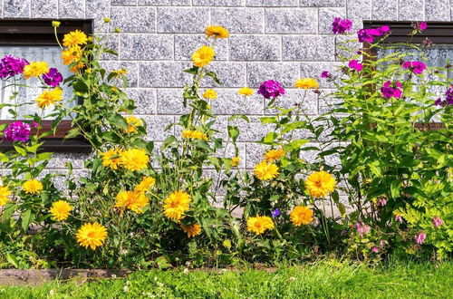 Photo 29 - Garden View Apartment in Erzgebirge near Forest