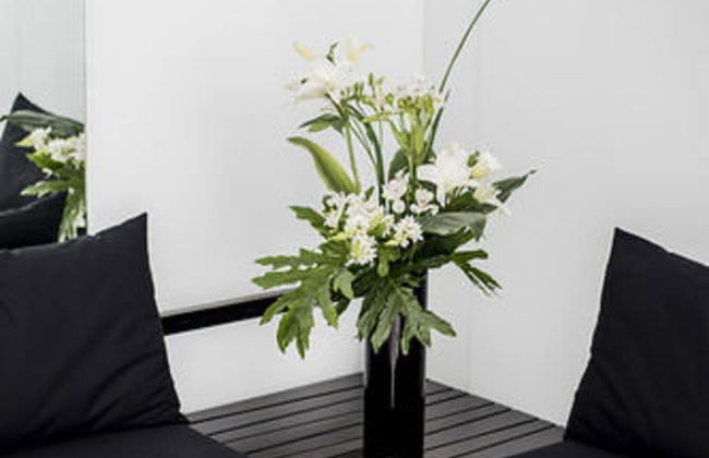 Top Rentals Downtown - Foto 4