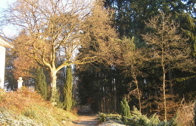 Cottage Near Durbuy Forest - Foto 19