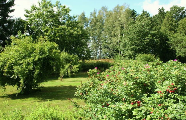 Holiday Home in Froidchapelle With Garden - Foto 36