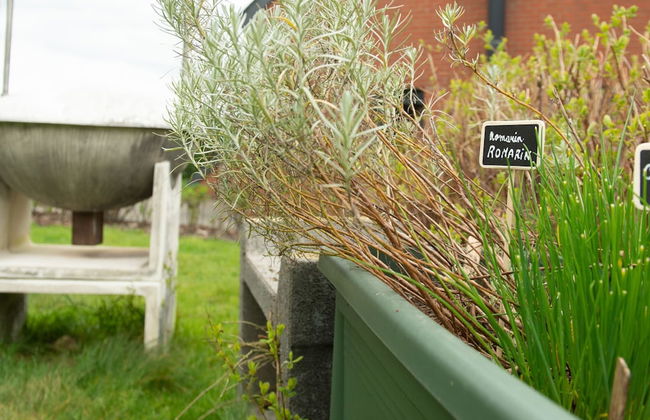 Holiday Home in Froidchapelle With Garden - Foto 38