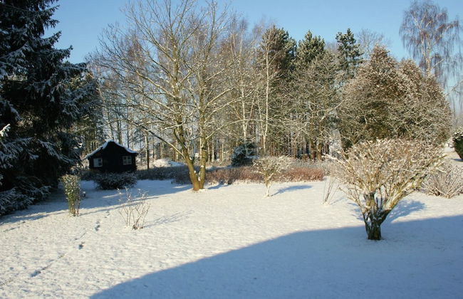 Holiday Home in Froidchapelle With Garden - Foto 34