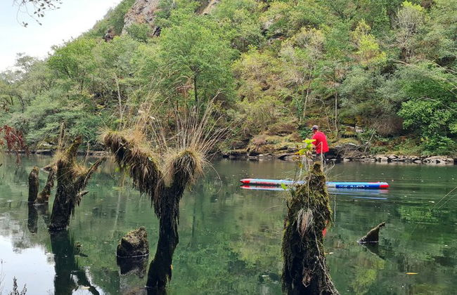El Bosque de las Viñas - Foto 57