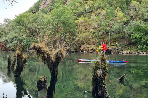 Photo 57 - El Bosque de las Viñas