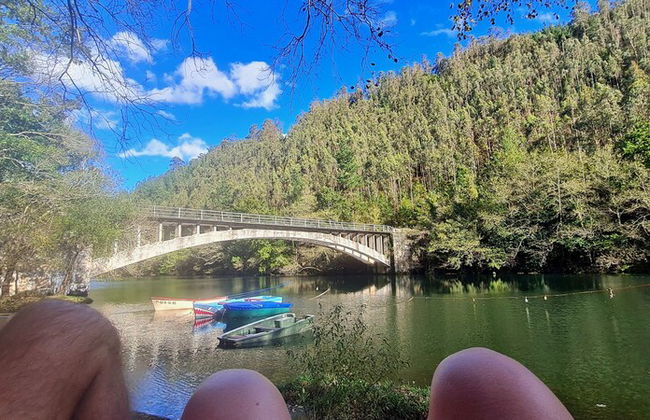 El Bosque de las Viñas - Foto 55