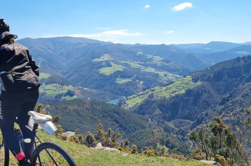 Photo 50 - El Bosque de las Viñas