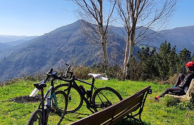 El Bosque de las Viñas - Foto 49