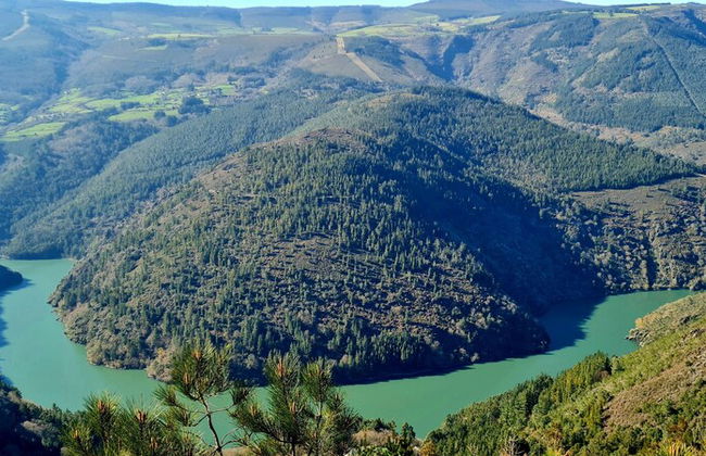 El Bosque de las Viñas - Foto 52