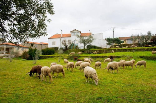 Photo 39 - Beautiful 8 Bed Cottage in Celorico With Pool