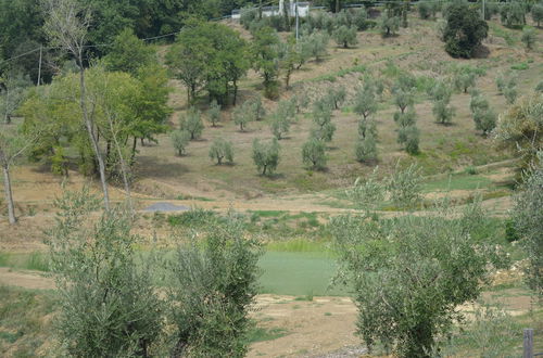 Foto 50 - Podere delle Fanciulle