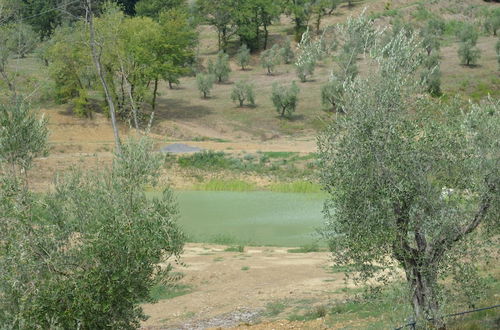 Foto 44 - Podere delle Fanciulle