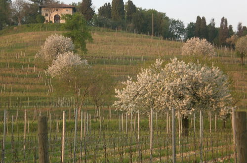 Photo 11 - Agriturismo Colutta