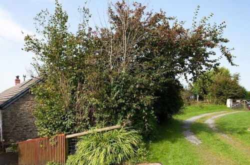 Photo 9 - Inviting 2-bed Cottage in Newcastle Emlyn